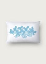 Alcyoniidae - Image 4