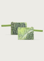 Pistacia Vera - Image 5